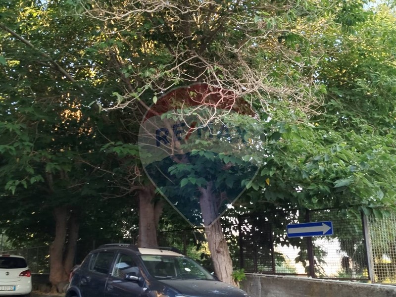 Box in Vendita a Gravina di Catania, 13'000&euro;, 17 m²