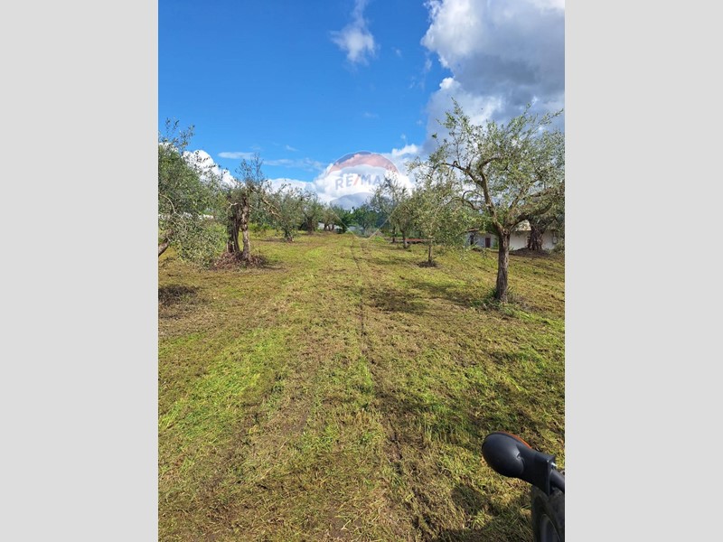 Villa in Vendita a Castel Campagnano, 89'000€, 275 m²