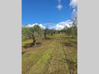 Villa in Vendita a Castel Campagnano, 89'000€, 275 m²