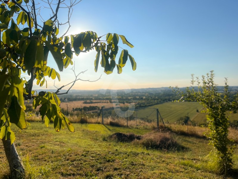 Casa Indipendente in Vendita a Jesi, zona ZONA 7, 195'000&euro;, 313 m²
