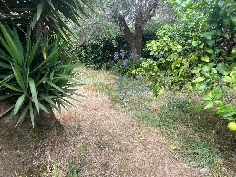 Terreno agricolo in Vendita a Massa, 23'000€, 290 m²