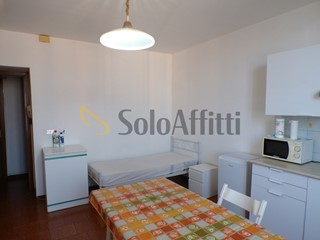 Stanza in Affitto a Pavia, zona Viale Indipendenza, 230€, 100 m², arredato