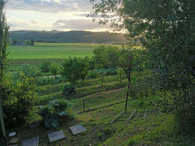 Terreno agricolo in Vendita a Poggibonsi, 30'000€, 3500 m²