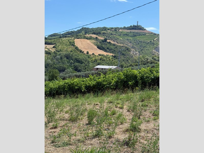 Rustico in Vendita a Ripatransone, 650'000€, 256 m²