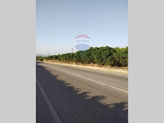 Terreno agricolo in Vendita a Mineo, 100'000€, 35000 m²