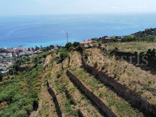 Terreno edificabile in Vendita a Ospedaletti, 180'000€, 6000 m²