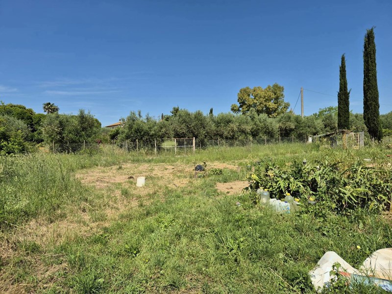 Terreno agricolo in Vendita a Grosseto, 30'000€, 1290 m²
