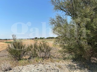 Casa Indipendente in Vendita a Margherita di Savoia, 93'000€, 48 m²