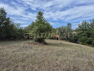 Terreno agricolo in Vendita a Civitella Paganico, zona Civitella Marittima, 30'000€, 40718 m²