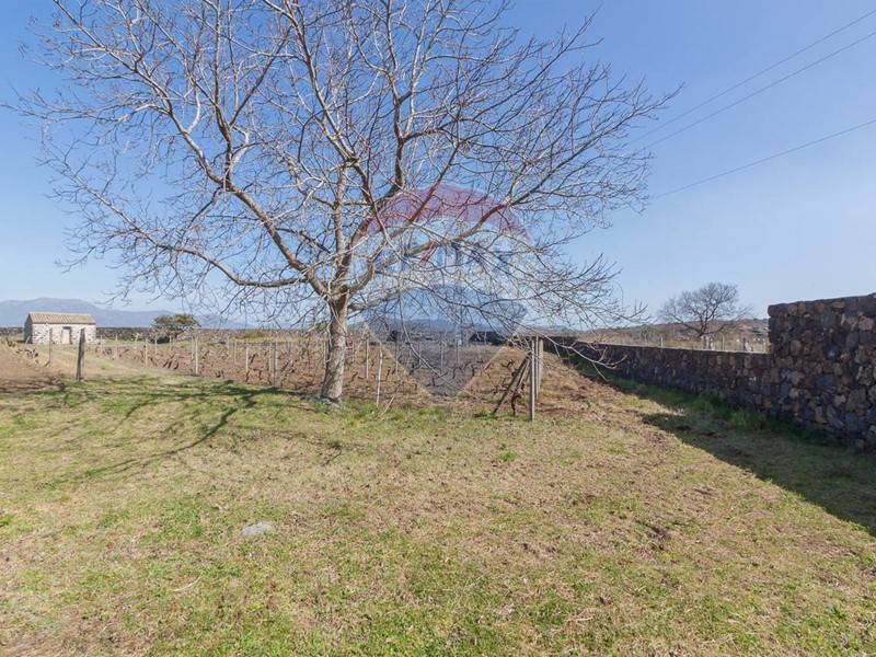 Terreno agricolo in Vendita a Castiglione di Sicilia, 75'000€, 4700 m²