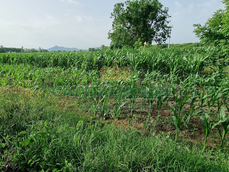 Appartamento in Vendita a Marcianise, 19'000€, 1741 m²