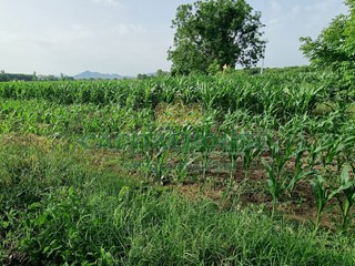 Appartamento in Vendita a Marcianise, 19'000€, 1741 m²