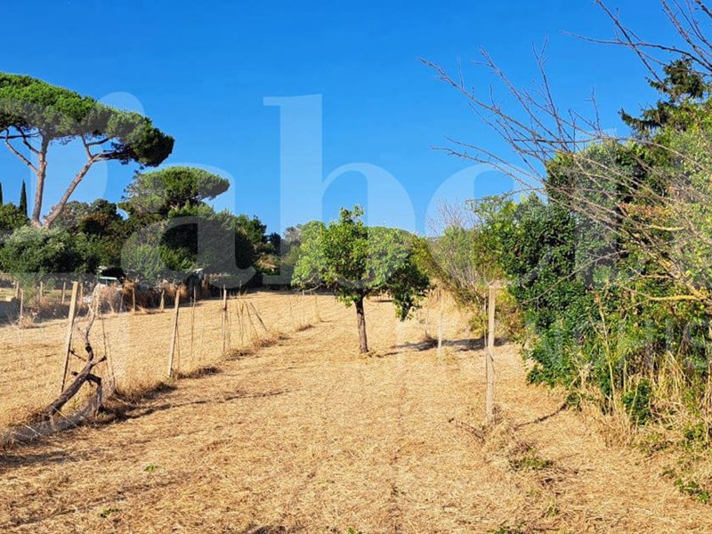 Terreno agricolo in Vendita a Marino, 70'000€, 6270 m²