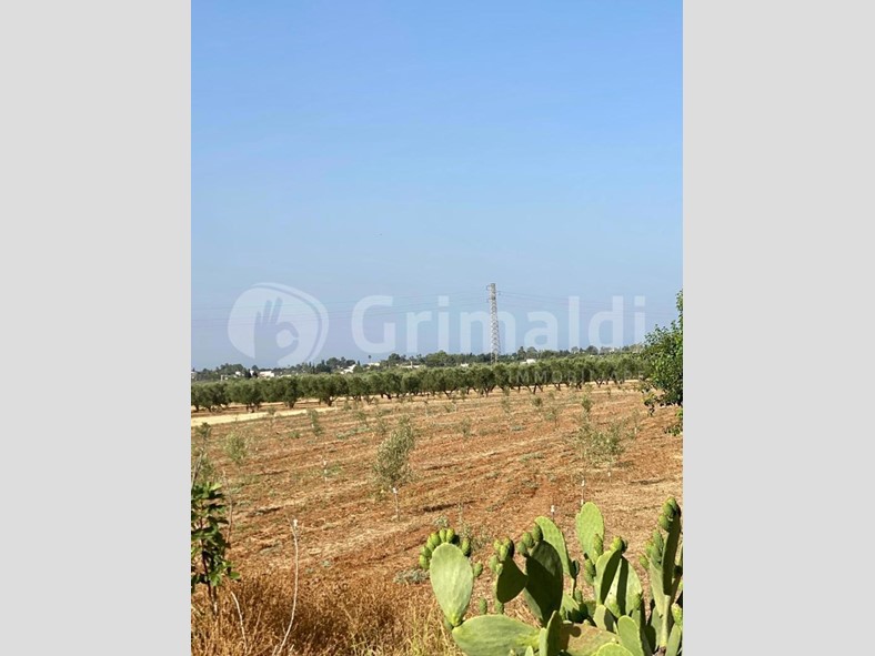 Terreno agricolo in Vendita a Tuglie, 65'000€, 9823 m²