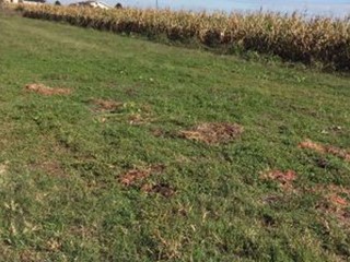 Terreno edificabile in Vendita a Villata, 35'000€, 1120 m²