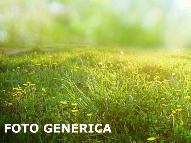 Terreno agricolo in Vendita a San Miniato, zona Serra, 180'000€, 118960 m²