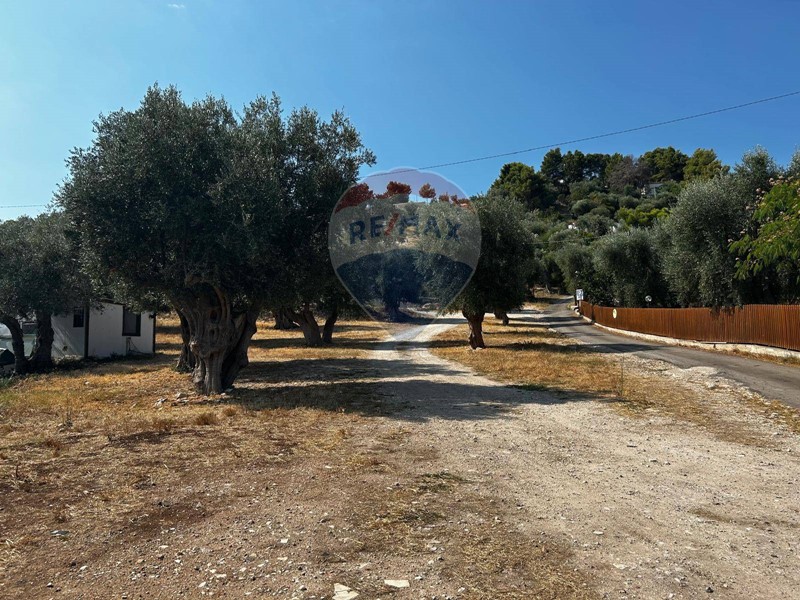 Terreno edificabile in Vendita a Vieste, 169'000€, 4625 m²