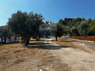 Terreno edificabile in Vendita a Vieste, 169'000€, 4625 m²