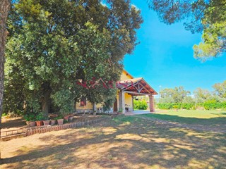 Rustico in Vendita a Grosseto, 560'000€, 340 m²