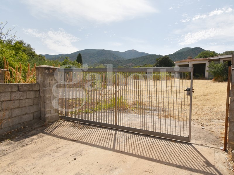 Terreno edificabile in Vendita a Padru, 170'000€, 1828 m²
