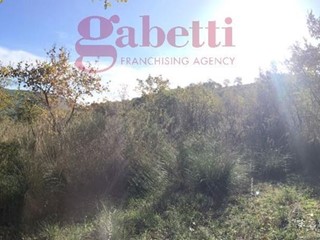 Terreno agricolo in Vendita a Giano Vetusto, 14'000€, 9999 m²