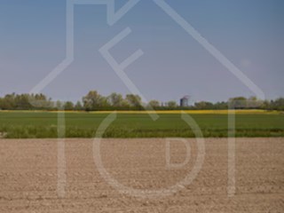 Terreno agricolo in Vendita a Riva del Po, zona Berra, 500'000€, 200000 m²