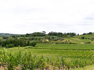 Attività commerciale in Vendita a Vinci, 600'000€, 125 m²