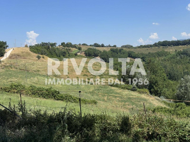 Terreno agricolo in Affitto a Collevecchio, 6'500€, 400000 m²