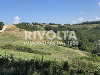 Terreno agricolo in Affitto a Collevecchio, 6'500€, 400000 m²