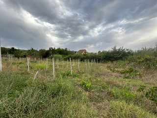 Terreno edificabile in Vendita a Guidonia Montecelio, 85'000€, 3780 m²