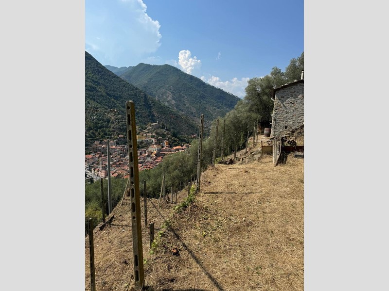 Casa Indipendente in Vendita a Badalucco, 52'000€, 50 m²