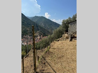 Casa Indipendente in Vendita a Badalucco, 52'000€, 50 m²