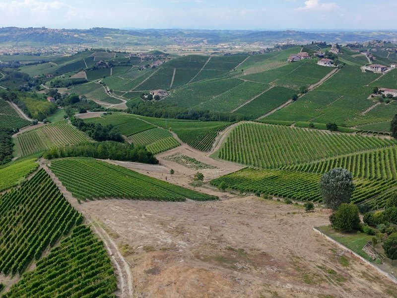 Terreno edificabile in Vendita a Barbaresco, 719'000€, 3256 m²