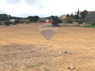 Terreno edificabile in Vendita a Caltagirone, 1'250'000€, 19050 m²