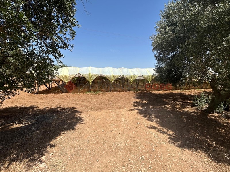Terreno agricolo in Vendita a Grottaglie, 30'000€, 6802 m²