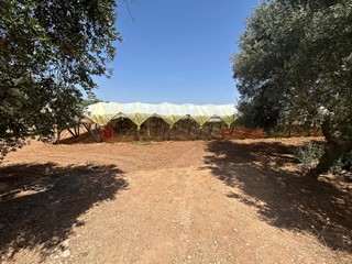 Terreno agricolo in Vendita a Grottaglie, 30'000€, 6802 m²