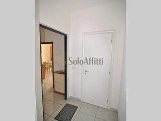Trilocale in Affitto a Collesalvetti, zona Stagno, 650€, 35 m², arredato