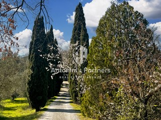 Casa Indipendente in Vendita a Panicale, 450'000€, 255 m²