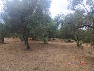 Terreno edificabile in Vendita a Caltagirone, 19'500€, 1800 m²