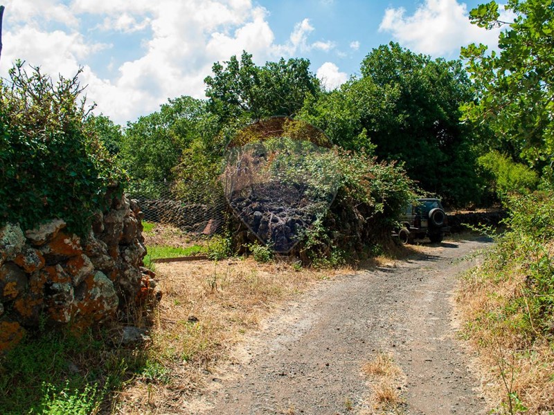 Terreno edificabile in Vendita a Maletto, 90'000€, 1500 m²