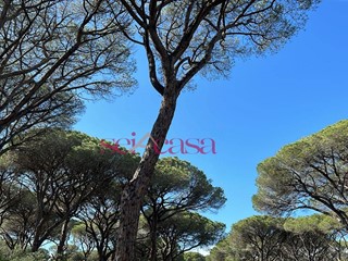 Terreno agricolo in Vendita a Grosseto, 30'000€, 2500 m²