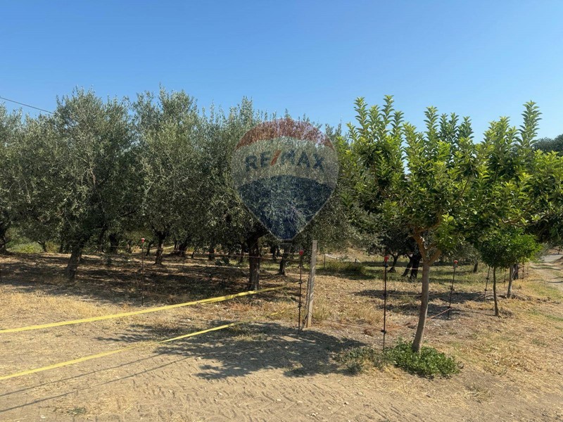 Terreno edificabile in Vendita a Paglieta, 68'000€, 2440 m²