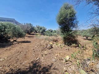 Terreno agricolo in Vendita a Belpasso, 49'000€, 6000 m²