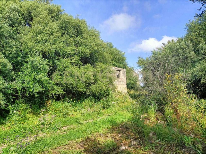 Terreno edificabile in Vendita a Catania, 29000 m², arredato