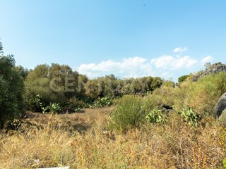 Terreno edificabile in Vendita a Belpasso, 219'000€, 12900 m², arredato, con Box