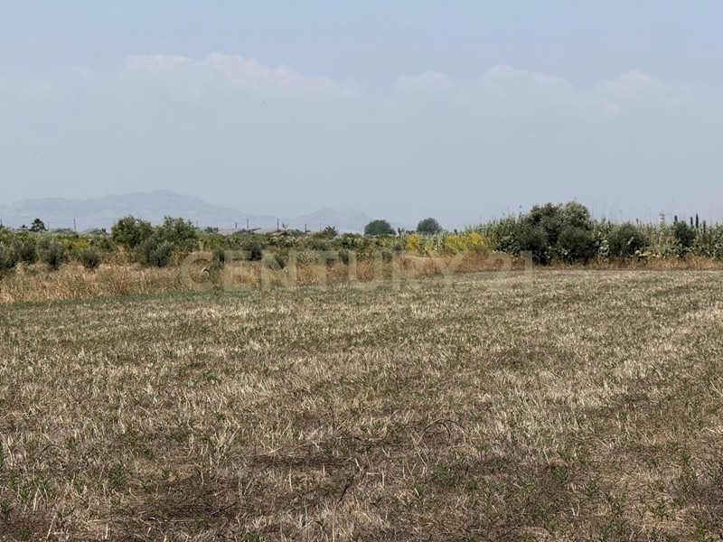 Terreno agricolo in Vendita a Lentini, 22'500€, 10000 m²