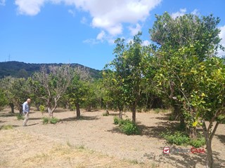 Terreno edificabile in Vendita a Pace del Mela, 10'000€, 1000 m²