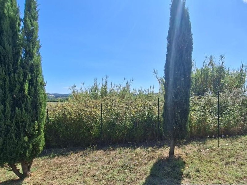 Terreno edificabile in Vendita a Terricciola, zona Selvatelle, 85'000€, 1600 m²