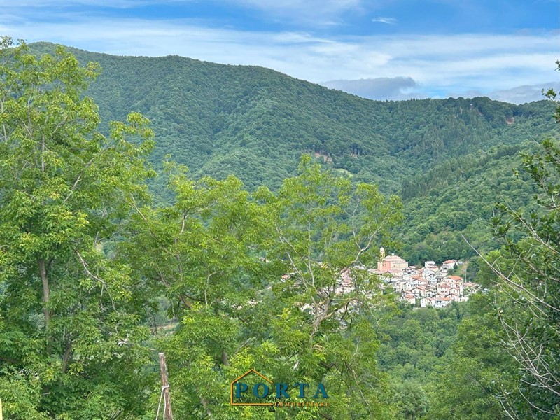 Rustico in Vendita a Roccaforte Mondovì, 15'000€, 77 m²