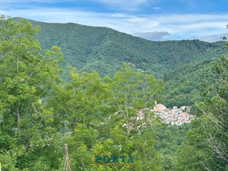 Rustico in Vendita a Roccaforte Mondovì, 15'000€, 77 m²